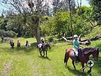 Beautiful scenery while trekking at Tasman Horse Rides