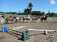 Learning in the arena at a Tasman Horse Rides holiday camp