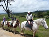 School holiday camp trekking at Tasman Horse Rides