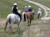 Trekking at Tasman Horse Rides