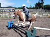 Learning jumping skills in our arena