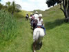 Trekking over beautiful farmland